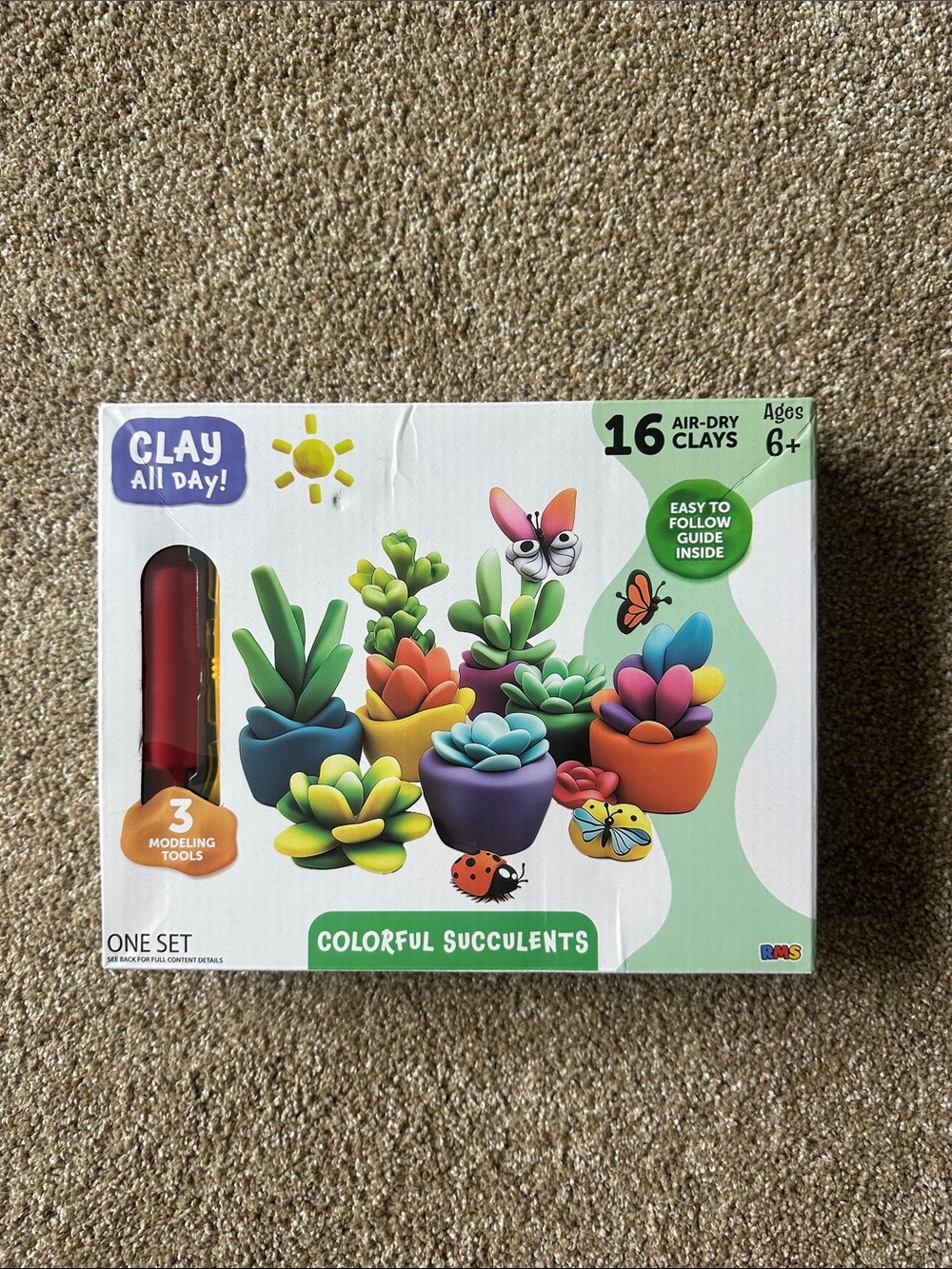 “Clay all day!” Succulents set